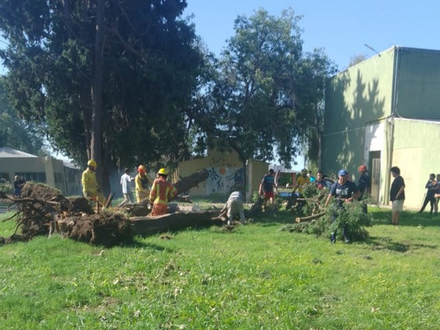 Tras la tormenta, llegó el apoyo y el trabajo de toda la comunidad universitaria